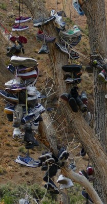 shoeTree2.jpg